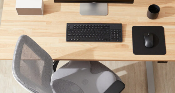 3 Best Ergonomic Study Desk Accessories In 2026