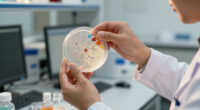 Autism Mutations Drive Neurodevelopmental Pathology