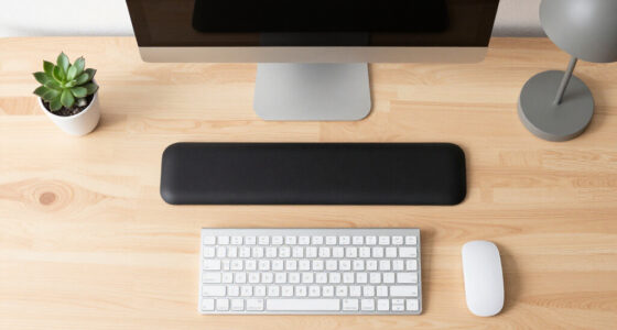 9 Best Ergonomic Study Desk Accessories in 2026