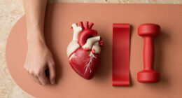 YOUR HEART IS A MUSCLE, THE SIZE OF YOUR FIST